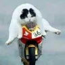 bumbleferry-finn